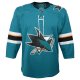 Youth San Jose Sharks Teal Home Premier Blank Jersey