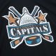 Men's Washington Capitals Alexander Ovechkin Mitchell & Ness Black  2005/06 Blue Line Player Jersey