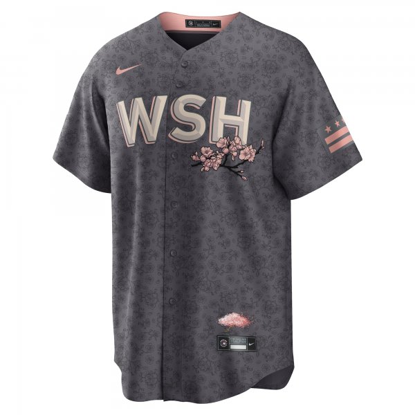 Men's Washington Nationals Nike Gray City Connect Replica Team Jersey