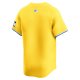 Men's Boston Red Sox  Nike Gold City Connect Limited Jersey