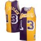 Men's Los Angeles Lakers Wilt Chamberlain Mitchell & Ness Purple/Gold Hardwood Classics 1971/72 Split Swingman Jersey